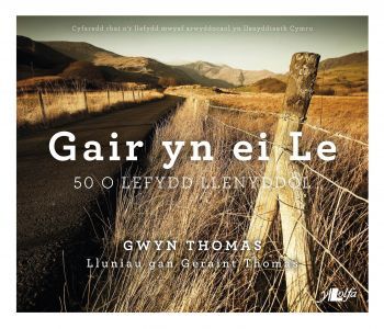 Delwedd:Gair yn ei Le (llyfr).jpg