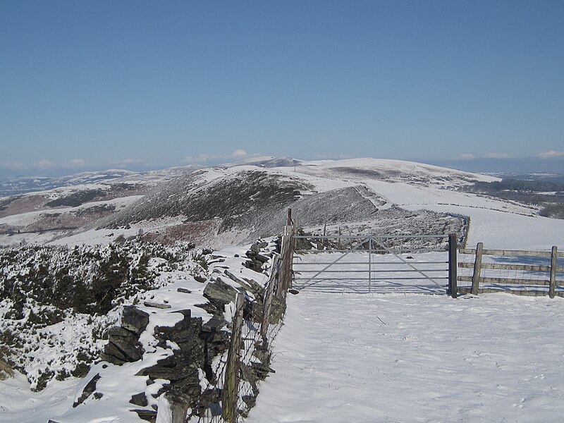 Delwedd:O foel acre.jpg