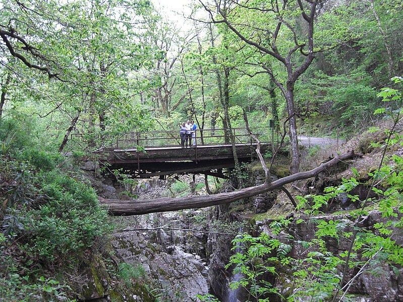 Delwedd:Pont droed gwynfynydd.jpg