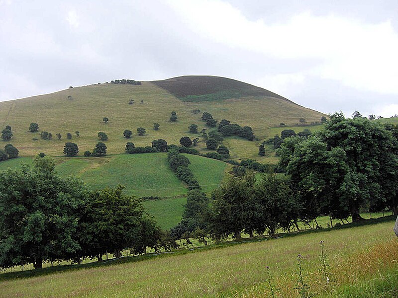 Delwedd:Moel Gyw o Foel Eithinen.jpg