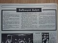 Golygyddol y rhifyn cyntaf o Sulyn