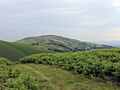 Penycloddiau o Foel y Parc