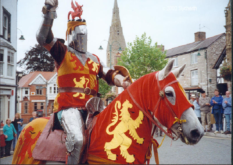 Delwedd:Owain glyndwr.jpg