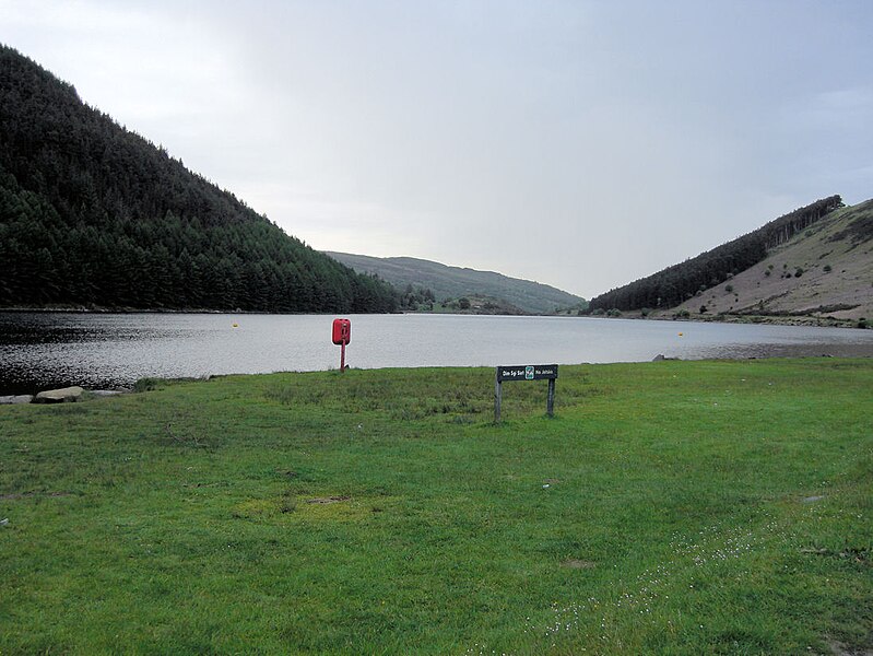 Delwedd:Llyn Geirionydd ro.jpg