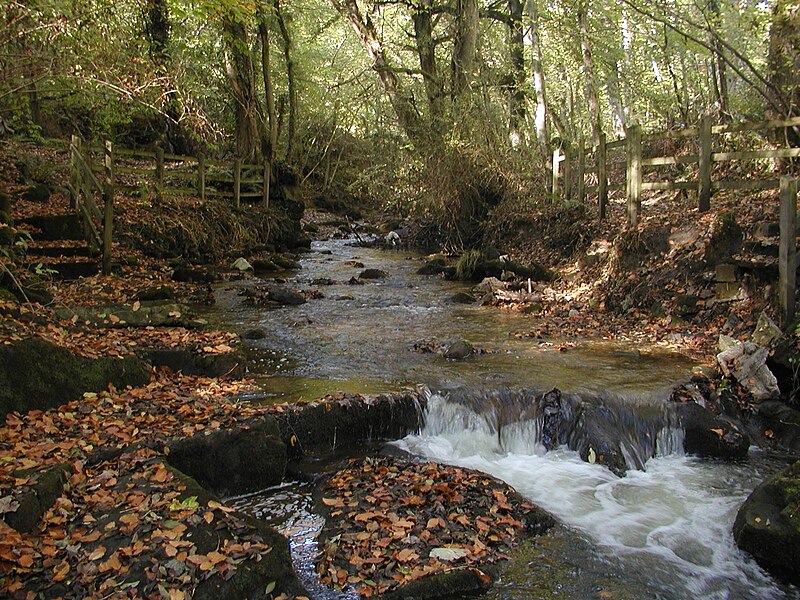 Delwedd:Dyffryn Clywedog LB01.jpg