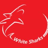 Datei:White Sharks Hannover.jpg