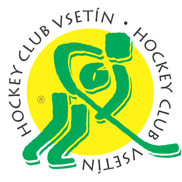 Datei:Logo vsetin.gif