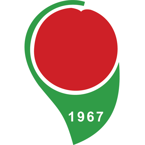 Datei:Amasyaspor.png