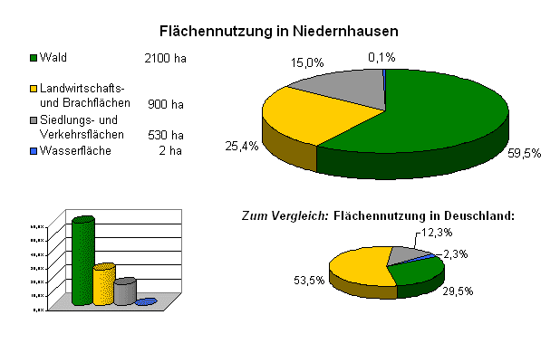 Datei:Flaechennutzung Niedernhausen.gif