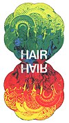 Deutsche Erstaufführung von „Hair“