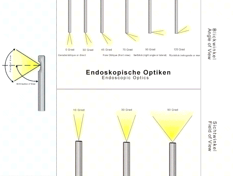 Datei:Endoscope angles.gif