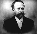 Wilhelm Kohl (1848–1898)