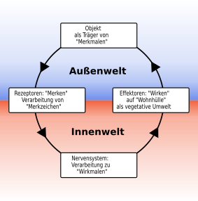 Funktionskreis nach Jakob von Uexküll als Regelkreis auf der vegetativen Stufe