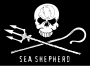 Logo von Sea Shepherd