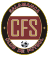 Logo in der Saison 2009/10