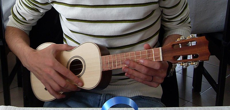 Datei:Cavaquinho1.JPG