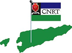 Symbole auf dem Wahlschein für die Autonomie innerhalb Indonesiens und für die völlige Unabhängigkeit Osttimors mit der Flagge des CNRT