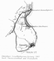 Vorschaubild der Version vom 20:42, 22. Dez. 2007