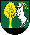 Wappen von Ražňany