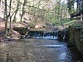 Zusammenfluss von Wiggenbach mit dem in den Berlebecker Quellen entspringenden Gewässer