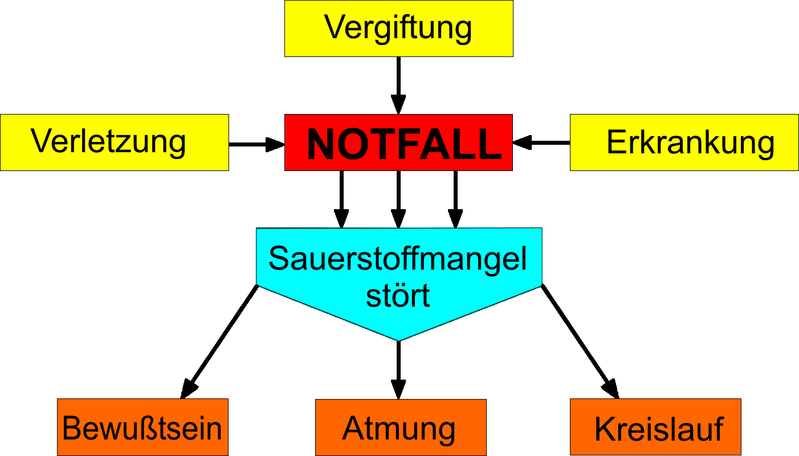 Datei:Notfallschema-Sauerstoffmangel.png