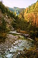 Ötschergräben im Herbst, nahe Talschluss