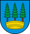 Wappen von Montbovon