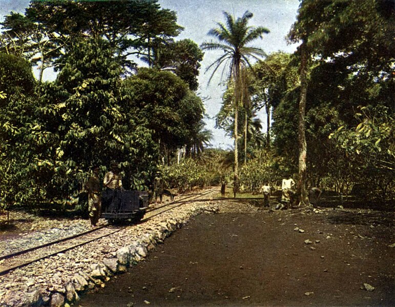 Datei:Feldbahn in der Viktoria-Pflanzung Kamerun.jpg