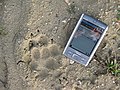 CyberTracker beim Wolfsmonitoring