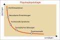 Vorschaubild der Version vom 17:57, 17. Jan. 2012