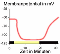 Vorschaubild der Version vom 11:46, 24. Mai 2005