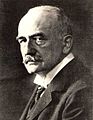 Wilhelm von Siemens, Unternehmenschef von 1890 bis 1919
