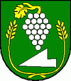 Wappen von Vinica