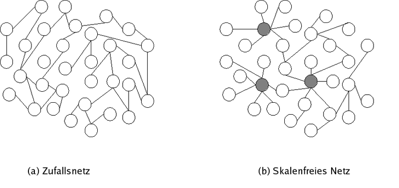 Datei:Scale-free network deutsch.png