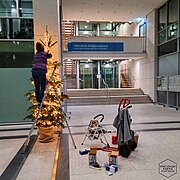 Aufstellung einer Baumschul-gezogenen Nordmanntanne als nachhaltiger Weihnachtsbaum im Bundesministerium für Gesundheit 2023