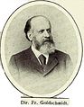 Friedrich Goldschmidt