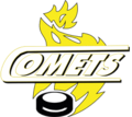 Cardiff Comets