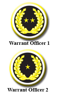 ފައިލު:Warrant Officer.jpg