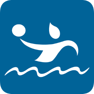 Αρχείο:Water polo 2018 MG (logo).png