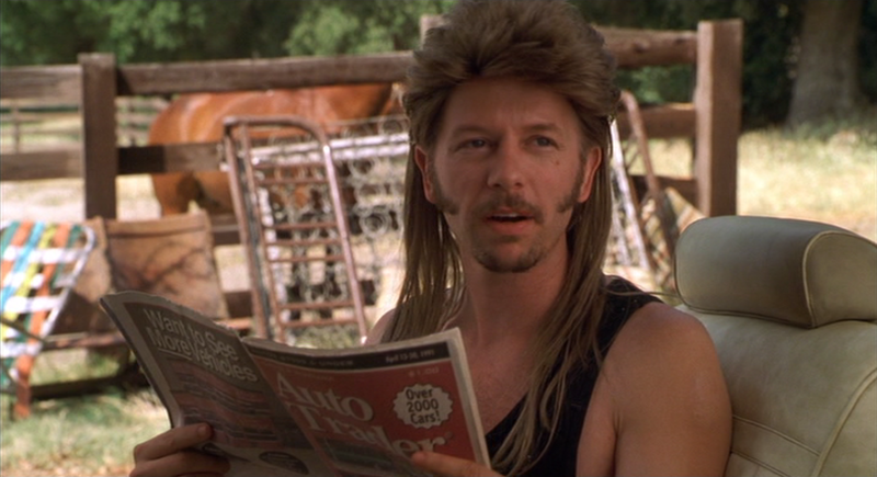 File:Avventure di Joe Dirt.png