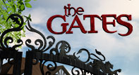 The Gates (TV series)