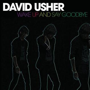 File:Wake Up and Say Goodbye - cover.jpg