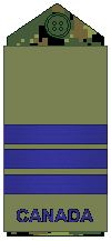 File:Air Force olive LCol.png