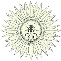 File:Journal of the Kansas Entomological Society logo.png