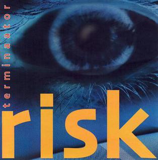 Risk album cover