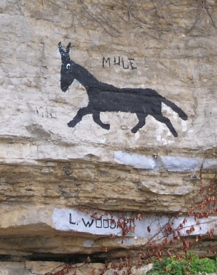 File:Liberty tn mule.jpg