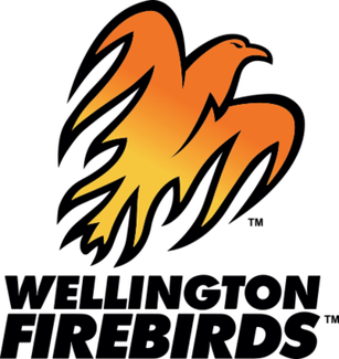 File:Wellington Firebirds logo.png