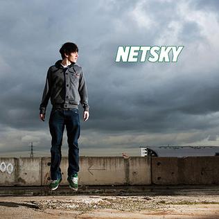 Forum Image: http://upload.wikimedia.org/wikipedia/en/1/15/Netskyalbumcover.jpg