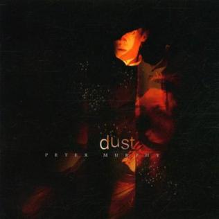 File:Peter-murphy-dust.jpg