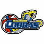 Inglewood-cobras-logo.gif